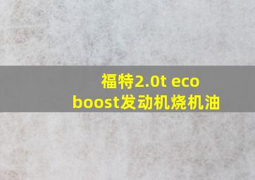 福特2.0t ecoboost发动机烧机油